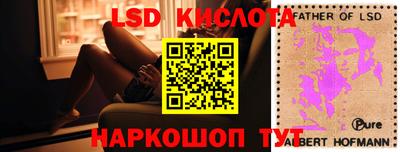 индика Ивантеевка