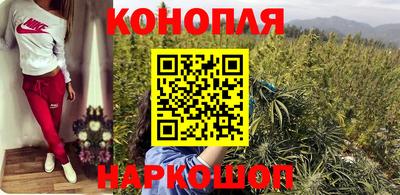 индика Ивантеевка