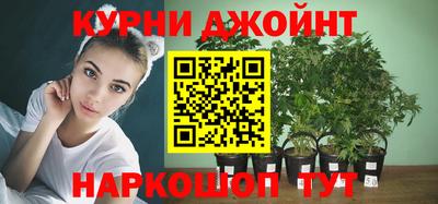 индика Ивантеевка