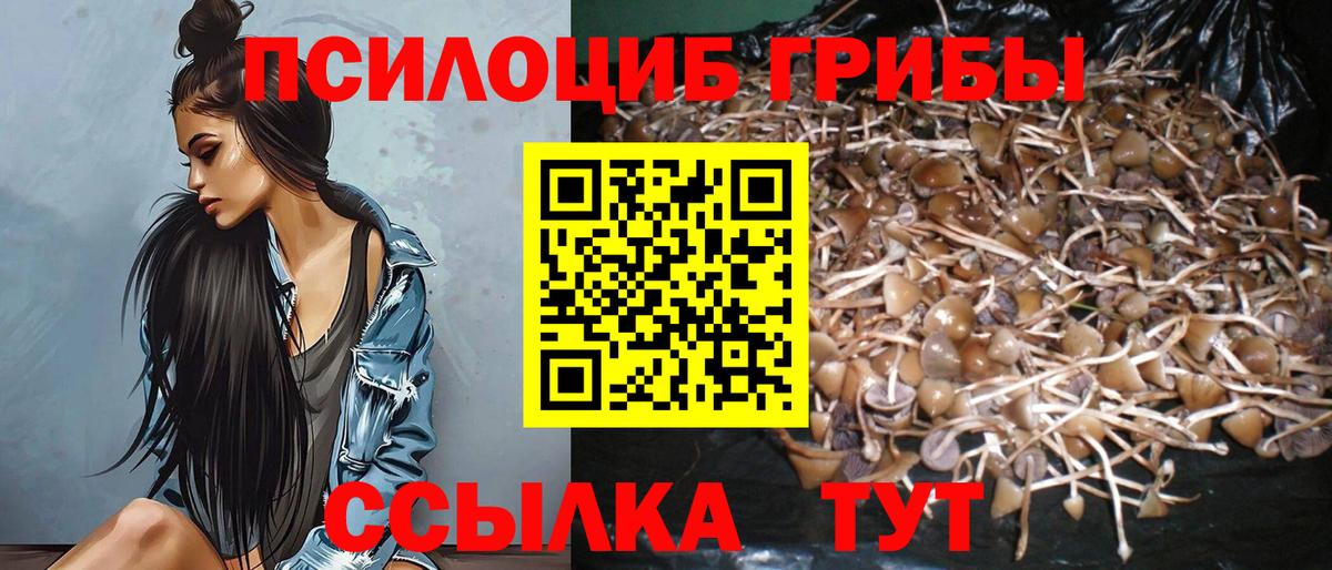 Углич  Псилоцибиновые грибы MAGIC MUSHROOMS  Вход с VPN 